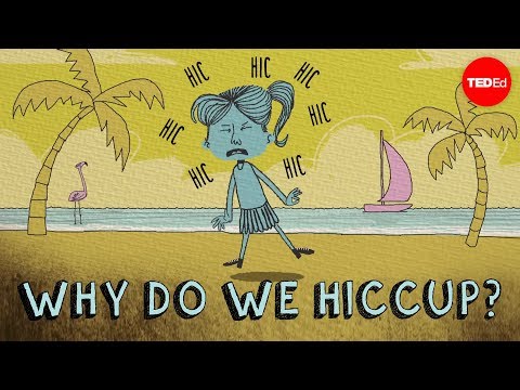 Why do we hiccup? - John Cameron