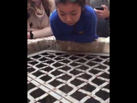 Girl Amazingly Sings Hallelujah Into A Well In Italy