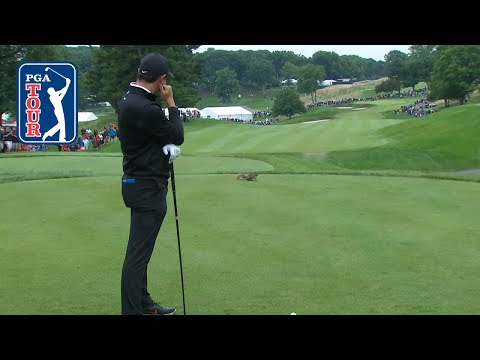 Rory McIlroy’s squirrel encounter at Travelers 2018