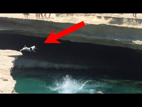 Dog Dives off Cliff in Malta