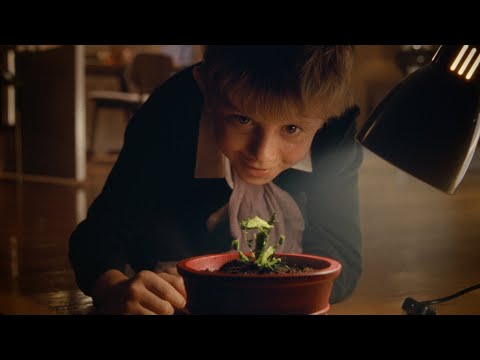 Snapper: The Perfect Tree | John Lewis &amp; Partners | Christmas Ad 2023