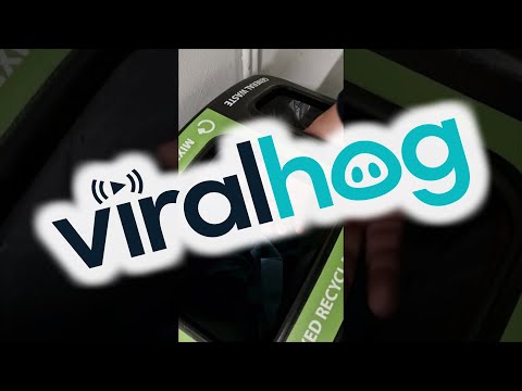 The Best Recycling Trick || ViralHog