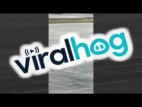 Runaway Luggage Rolls Across Airport Ramp || ViralHog