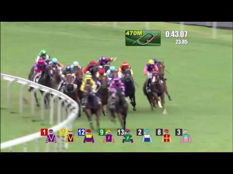 Amazing horse racing. Miracle can happen.