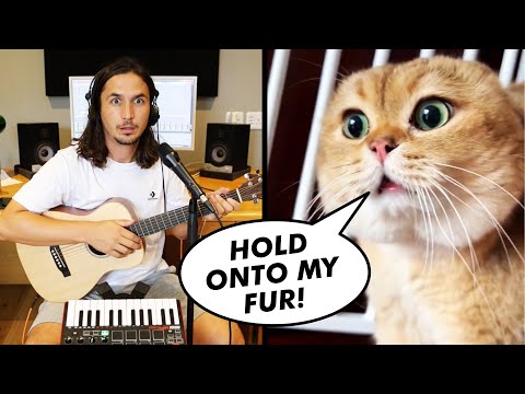 The Kiffness x Oh Long Johnson 2.0 - Hold Onto My Fur (Talking Cat Song)