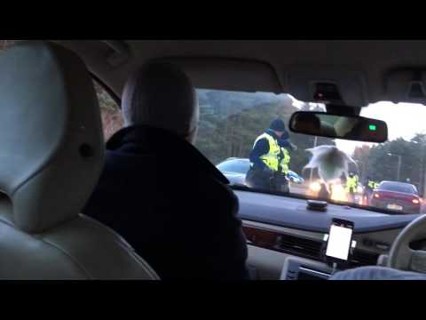 Police DUI raid funny fail - testing passenger instead the real driver (Estonia) - politsei
