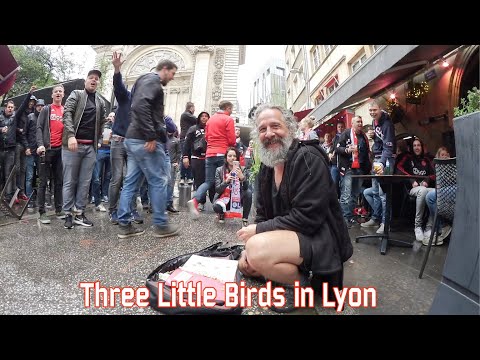 Three little birds in Lyon (Ajax)