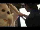 Easter Bunny Hates You (Full Version)