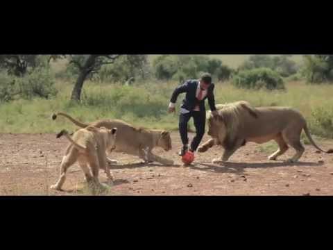 A world&#039;s first: Kevin Richardson playing football with wild lions (FULL VIDEO)