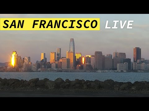 🔴 San Francisco Skyline LIVE · hosted by Mersea Restaurant 🌴 Treasure Island