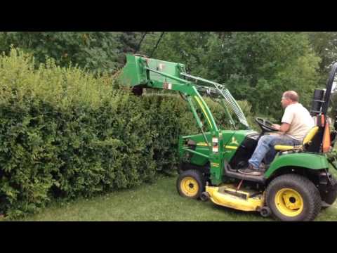 Mowing The Hedge
