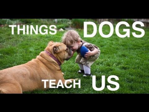 Things Dogs Teach Us