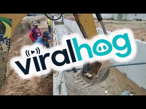 Construction Crew Rescues Dog From Irrigation Canal || ViralHog