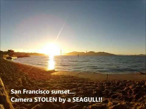 GoPro STOLEN by a SEAGULL!! - Unique San Francisco sunset...