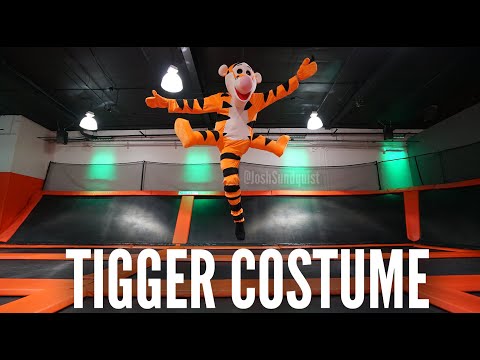 Tigger Costume | 2017 Halloween Costume Reveal