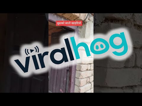 Cobra Settles in Doorway || ViralHog