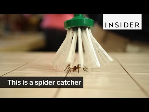 Spider Catcher