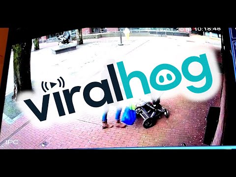 Woman with Pram Almost Hit by Falling Tree || ViralHog