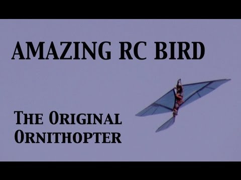 AMAZING ROBOT BIRD!! Original RC Ornithopter!!