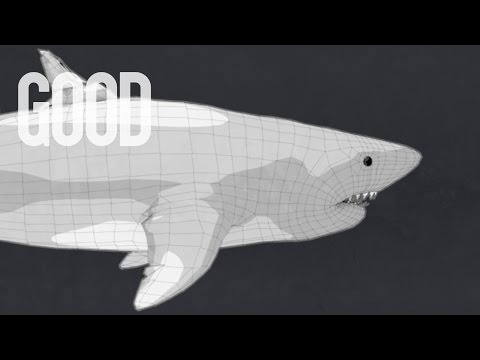 What is the World&#039;s Deadliest Animal? | GOOD