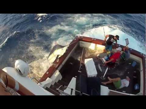 600lb Black Marlin Jumps in Boat and Lands on the Crew! Captured on 4 different cameras! Very Scary