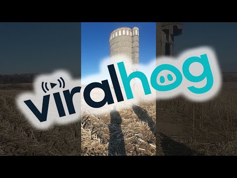 A Silo Goes Down Quickly || ViralHog