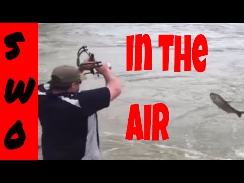 Shooting Flying Carp with a Slingshot