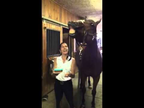 Grandson of Secretariat, JD blows out his birthday candles!