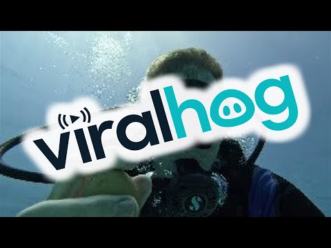 Cracking an Egg Open 12 Meters Underwater || ViralHog