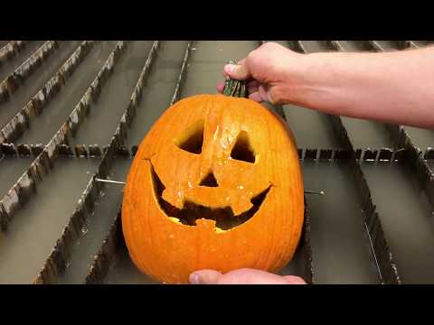 Carving a Pumpkin in Under 30 Seconds With A Waterjet - How to carve a pumpkin - Jack O Lantern