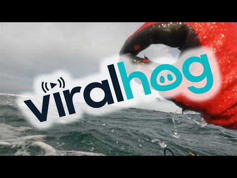 Spearfisherman Narrowly Avoids Being Run Over By Boat || ViralHog