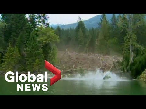 EPIC mudslide caught on camera [Raw Video]