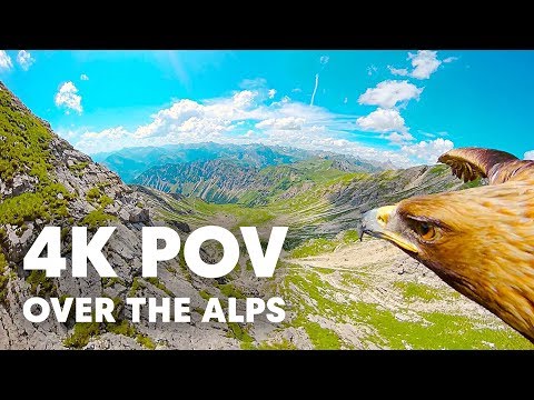 Breathtaking Eagle POV Flying Over The Alps in 4K
