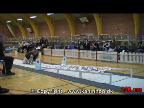 Danish Championships 2010 in Rabbit Hopping