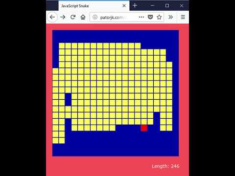 Perfect Snake Game - Patorjk Javascript Snake - 20x20 Kill Screen - 5:59:016