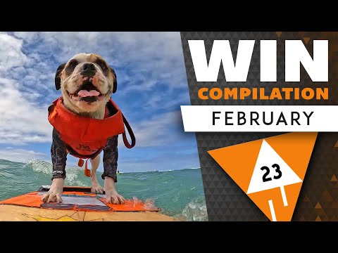 WIN Compilation FEBRUARY 2023 Edition | Best videos of January | LwDn x WIHEL