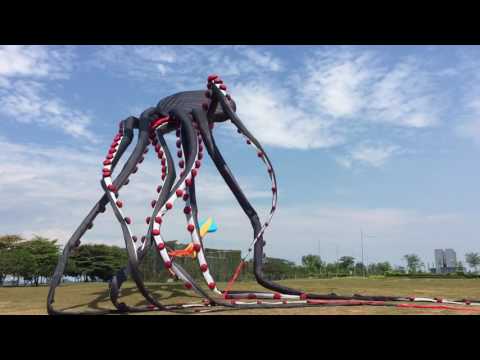 Giant Octopus Kite (720p HD)