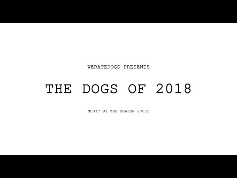 The Dogs of 2018
