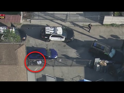 &#039;Come on guys! He&#039;s right there!&#039;: Pursuit suspect tries to evade LAPD by laying next to vehicle