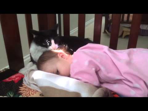 Kitty Cleaning Toddler