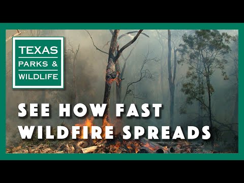 See How Fast Wildfire Spreads