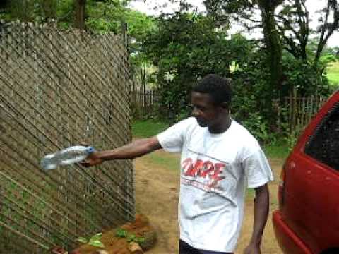 Liberian Water Man